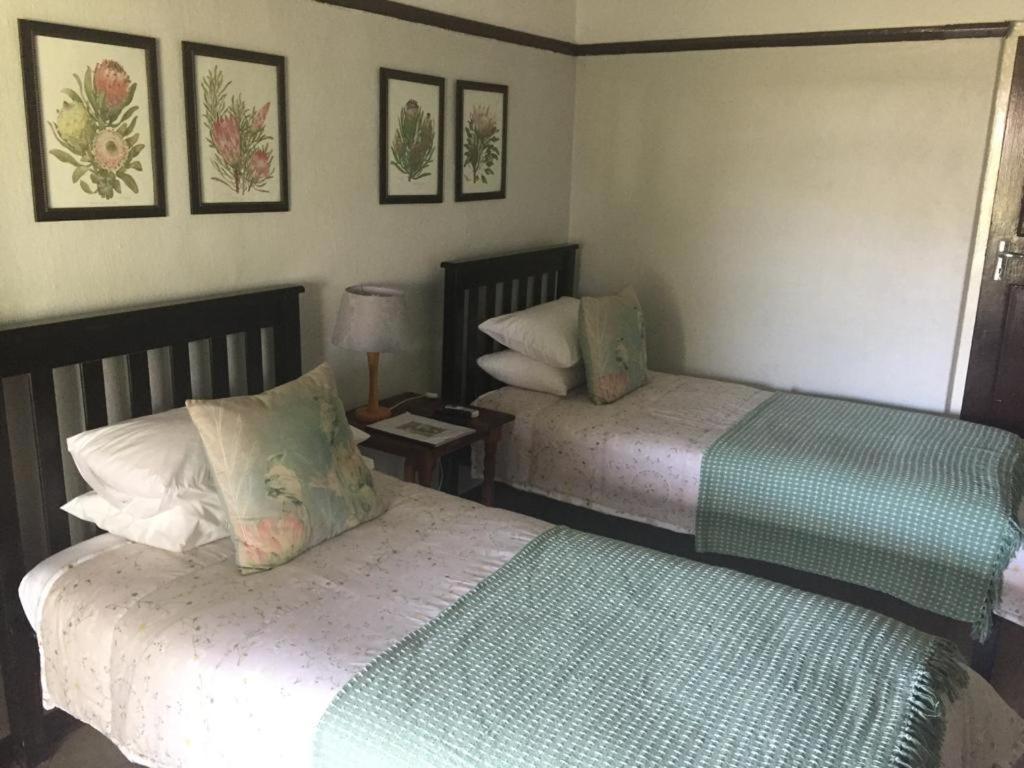 Beit Shalom Before Known As Best Little Guesthouse Oudtshoorn Bagian luar foto
