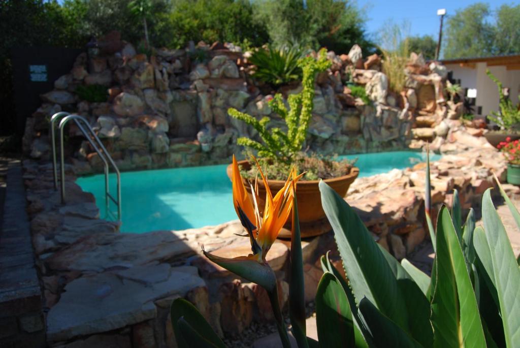 Beit Shalom Before Known As Best Little Guesthouse Oudtshoorn Bagian luar foto
